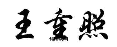 胡问遂王重照行书个性签名怎么写