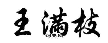 胡问遂王满枝行书个性签名怎么写