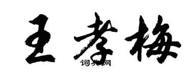 胡问遂王孝梅行书个性签名怎么写