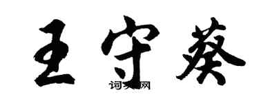 胡问遂王守葵行书个性签名怎么写