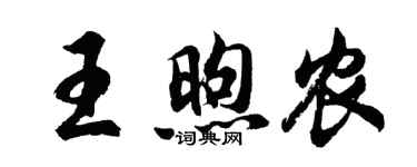 胡问遂王煦农行书个性签名怎么写