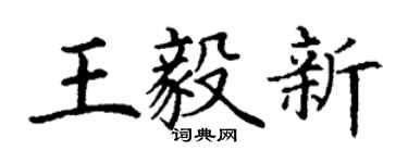 丁谦王毅新楷书个性签名怎么写