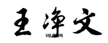 胡问遂王净文行书个性签名怎么写
