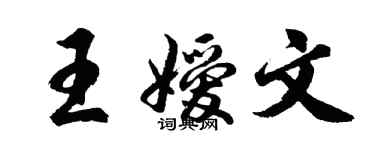 胡问遂王嫒文行书个性签名怎么写