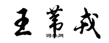 胡问遂王苇戎行书个性签名怎么写