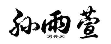 胡问遂孙雨萱行书个性签名怎么写