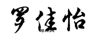 胡问遂罗佳怡行书个性签名怎么写