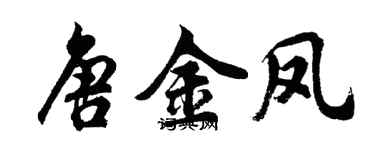 胡问遂唐金凤行书个性签名怎么写