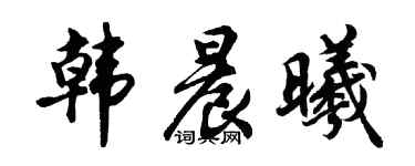 胡问遂韩晨曦行书个性签名怎么写