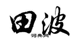 胡问遂田波行书个性签名怎么写
