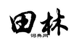 胡问遂田林行书个性签名怎么写