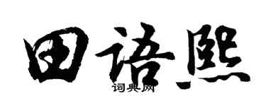 胡问遂田语熙行书个性签名怎么写