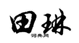 胡问遂田琳行书个性签名怎么写