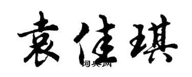 胡问遂袁佳琪行书个性签名怎么写