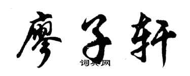 胡问遂廖子轩行书个性签名怎么写