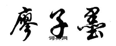 胡问遂廖子墨行书个性签名怎么写