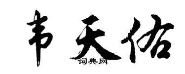 胡问遂韦天佑行书个性签名怎么写