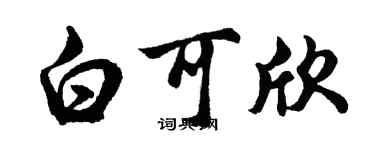 胡问遂白可欣行书个性签名怎么写