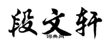 胡问遂段文轩行书个性签名怎么写