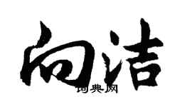 胡问遂向洁行书个性签名怎么写