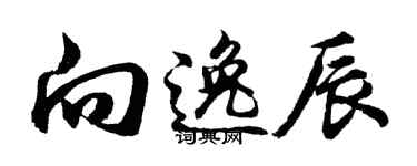 胡问遂向逸辰行书个性签名怎么写