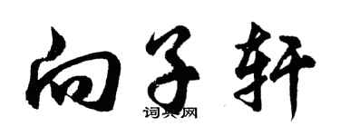 胡问遂向子轩行书个性签名怎么写