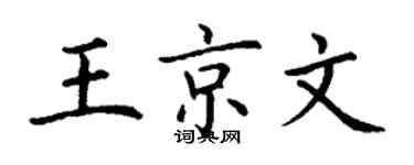 丁谦王京文楷书个性签名怎么写