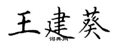丁谦王建葵楷书个性签名怎么写
