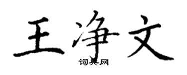 丁谦王净文楷书个性签名怎么写