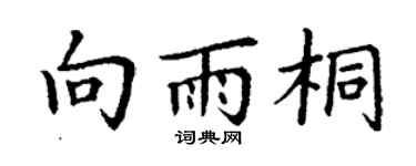 丁谦向雨桐楷书个性签名怎么写