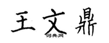 何伯昌王文鼎楷书个性签名怎么写