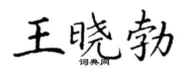 丁谦王晓勃楷书个性签名怎么写