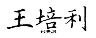 丁谦王培利楷书个性签名怎么写