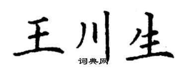 丁谦王川生楷书个性签名怎么写