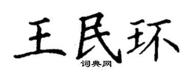 丁谦王民环楷书个性签名怎么写