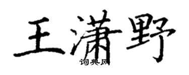丁谦王潇野楷书个性签名怎么写