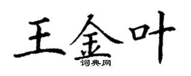 丁谦王金叶楷书个性签名怎么写
