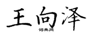 丁谦王向泽楷书个性签名怎么写