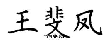 丁谦王斐凤楷书个性签名怎么写