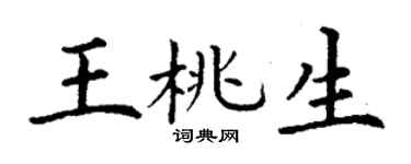 丁谦王桃生楷书个性签名怎么写