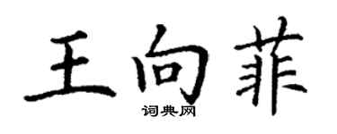 丁谦王向菲楷书个性签名怎么写