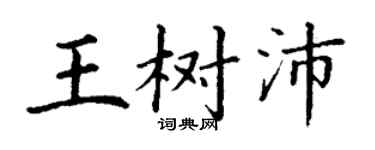 丁谦王树沛楷书个性签名怎么写