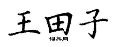 丁谦王田子楷书个性签名怎么写