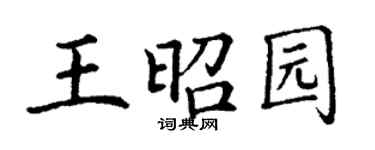 丁谦王昭园楷书个性签名怎么写
