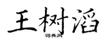 丁谦王树滔楷书个性签名怎么写