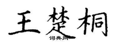 丁谦王楚桐楷书个性签名怎么写