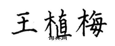 何伯昌王植梅楷书个性签名怎么写