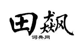 翁闿运田飙楷书个性签名怎么写