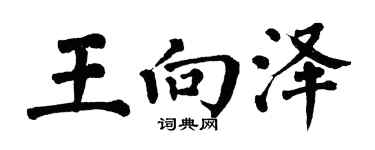 翁闿运王向泽楷书个性签名怎么写