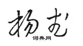 骆恒光杨武草书个性签名怎么写